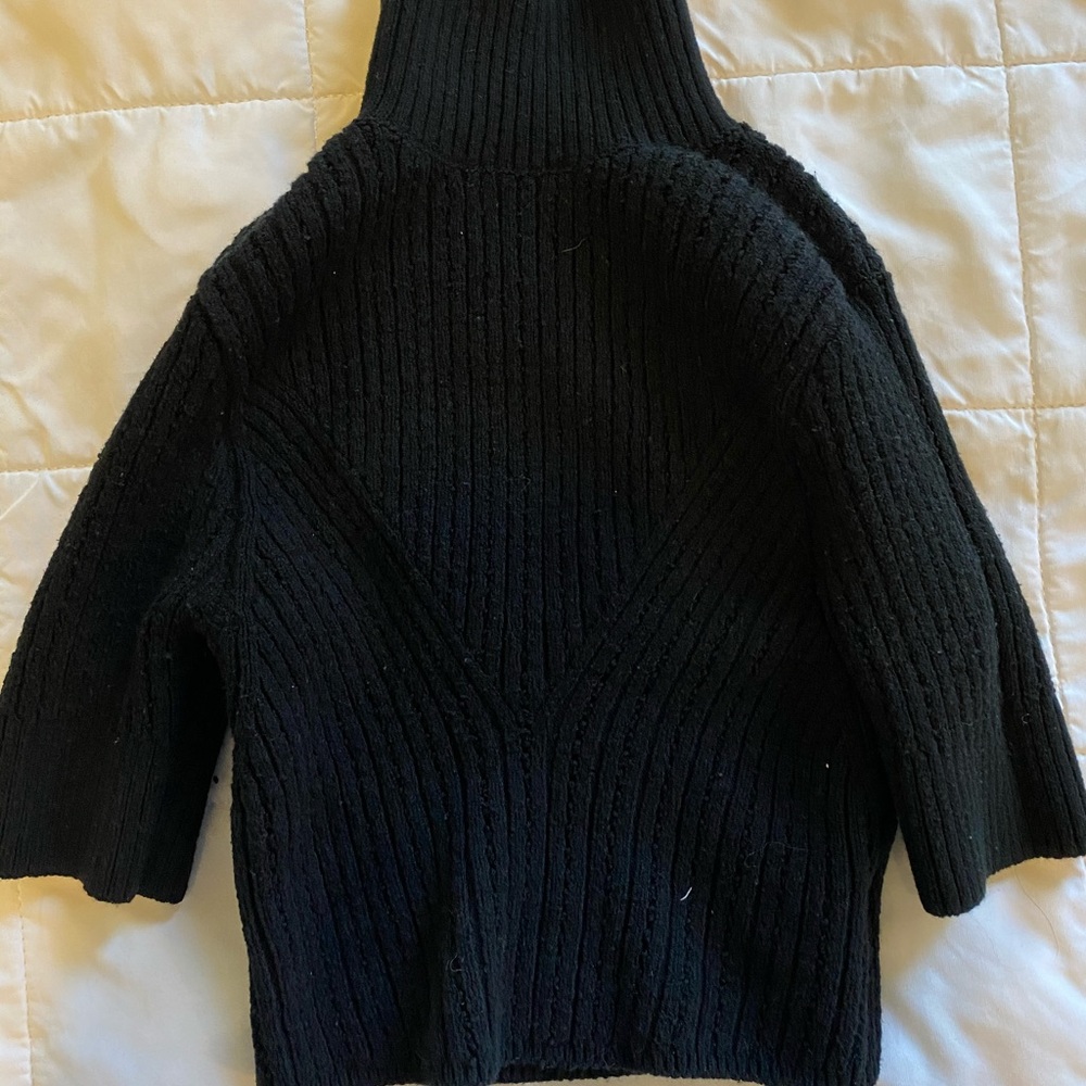 Free People Cropped Turtleneck